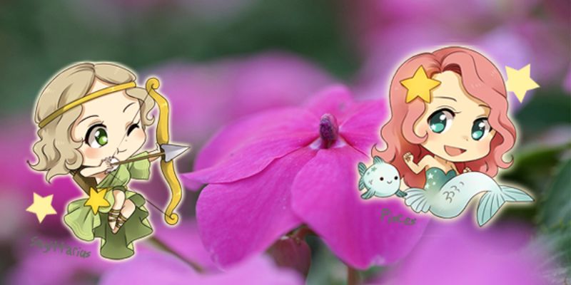 Ưu điểm và thách thức trong mối quan hệ