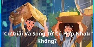 Cự Giải Và Song Tử Có Hợp Nhau Không? Khám Phá Sự Hòa Hợp