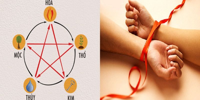 Giải đáp mệnh Thổ và Mộc có hợp nhau không?