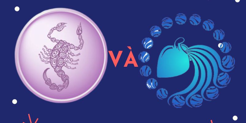 Giới thiệu chung về Bảo Bình và Bọ Cạp