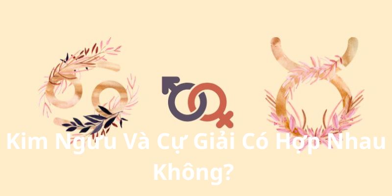Kim Ngưu Và Cự Giải Có Hợp Nhau Không?