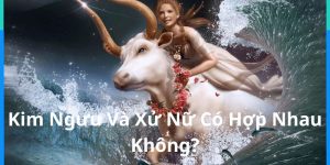 Kim Ngưu Và Xử Nữ Có Hợp Nhau Không? Giải Mã Sự Tương Hợp