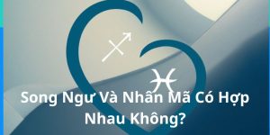 Song Ngư Và Nhân Mã Có Hợp Nhau Không? Khám Phá Tình Duyên