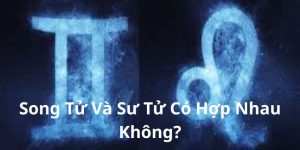 Song Tử Và Sư Tử Có Hợp Nhau Không? Đánh Giá Sự Phù Hợp
